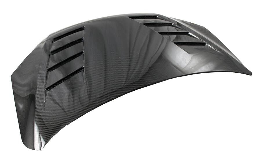 2000-2004 Ford Focus 2DR/4DR Terminator Carbon Fiber Hood by ViS Racing