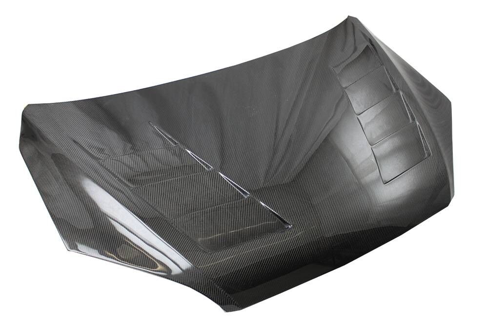 2000-2004 Ford Focus 2DR/4DR Terminator Carbon Fiber Hood by ViS Racing