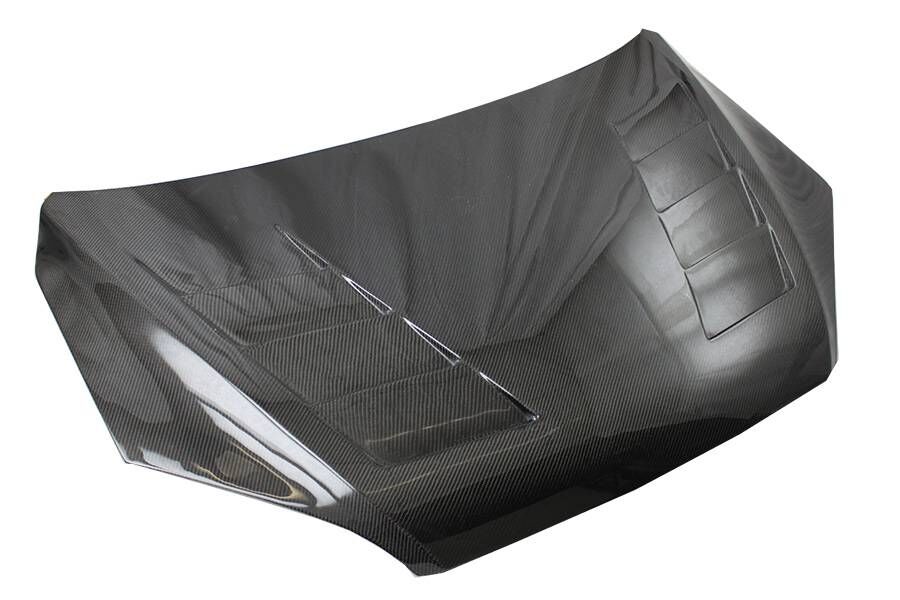 2000-2004 Ford Focus 2DR/4DR Terminator Carbon Fiber Hood by ViS Racing - 00FDFOC2DTM-010C