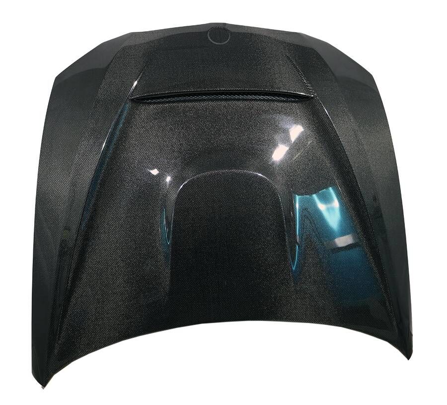 2011-2013 BMW 3-Series E92 2DR GTS Carbon Fiber Hood by ViS Racing