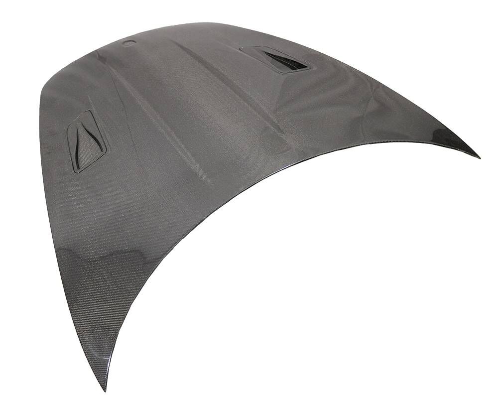 2012-2019 Porsche 911 991.1/991.2 Fusion RS Carbon Fiber Hood by ViS Racing - 12PS9912DRS-010C