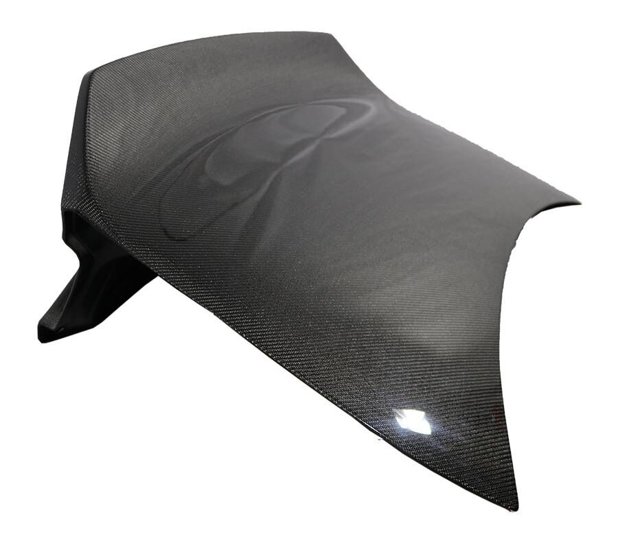 2015-2023 Dodge Charger Demon Style Carbon Fiber Trunk by ViS Racing