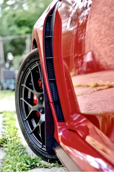 2017-2022 Honda Civic Type-R Deluxe Front Rock Guards