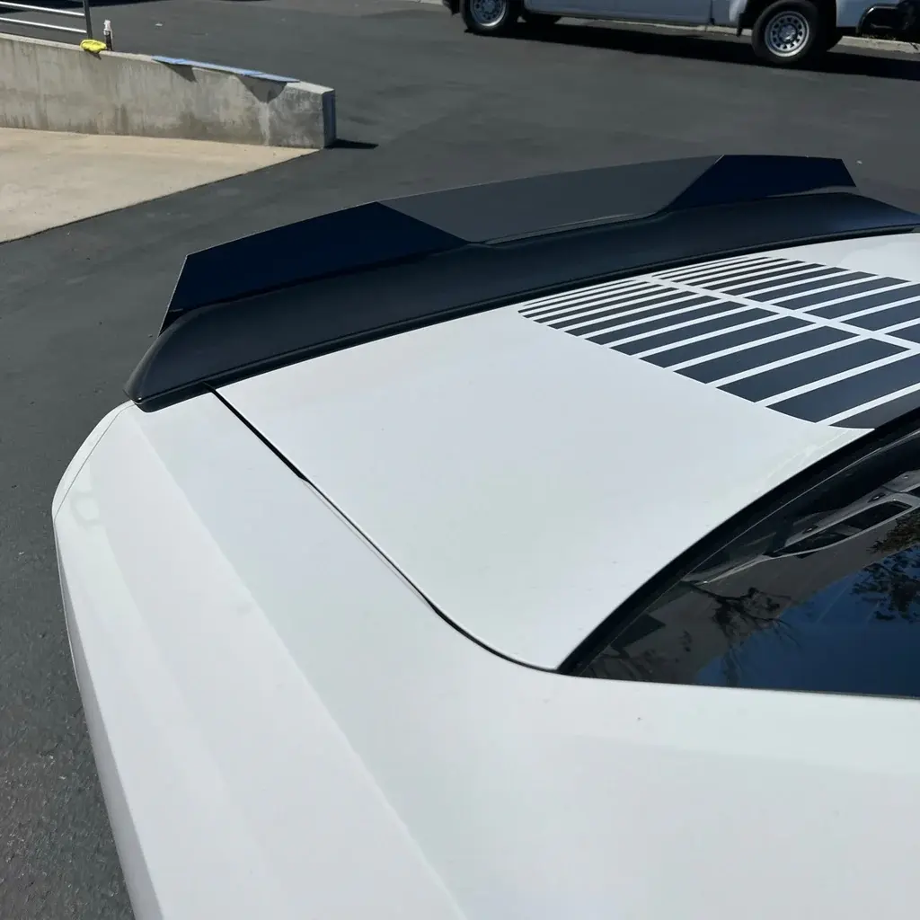 2009-2023 Dodge Challenger Assualt Extreme Wicker Bill Dark Tint