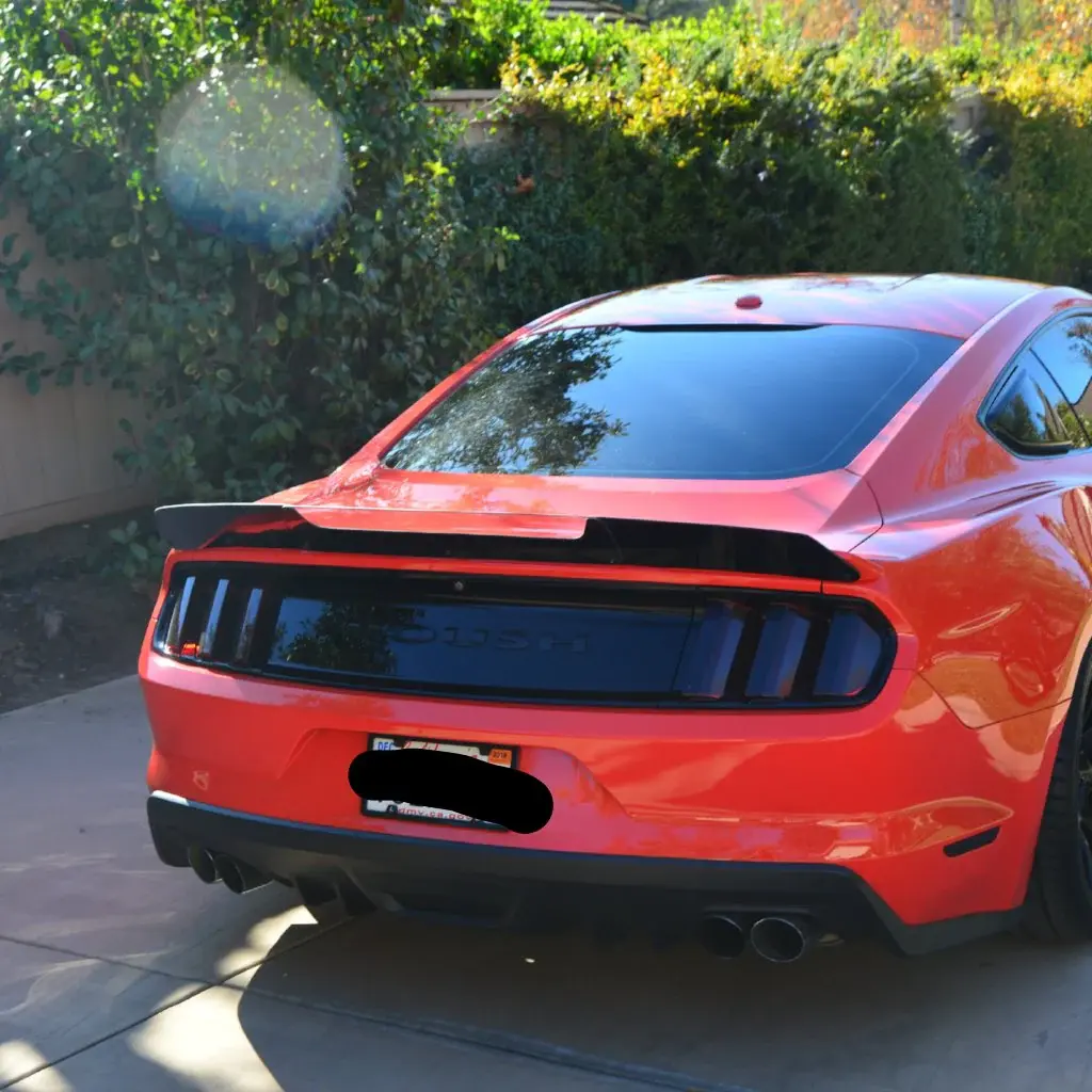 2015-2018 Ford Mustang Roush Wicker Bill 2PC Dark Tint - 05154014