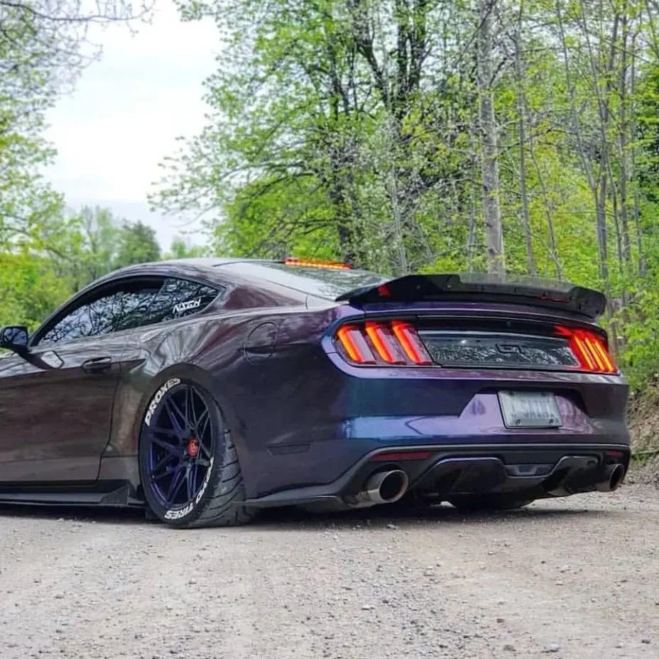 2015-2023 Ford Mustang Track-Pack Wicker Bill Dark Tint