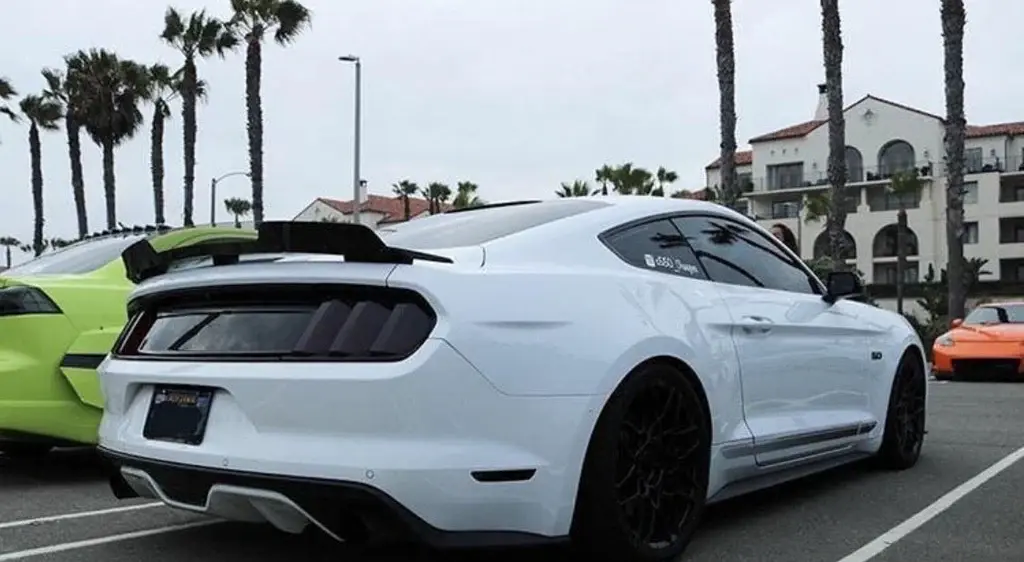 2016-2018 Ford Mustang Cali-Special Wicker Bill Standard