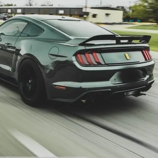 2018-2023 Ford Mustang PP1 Wicker Bill Dark Tint