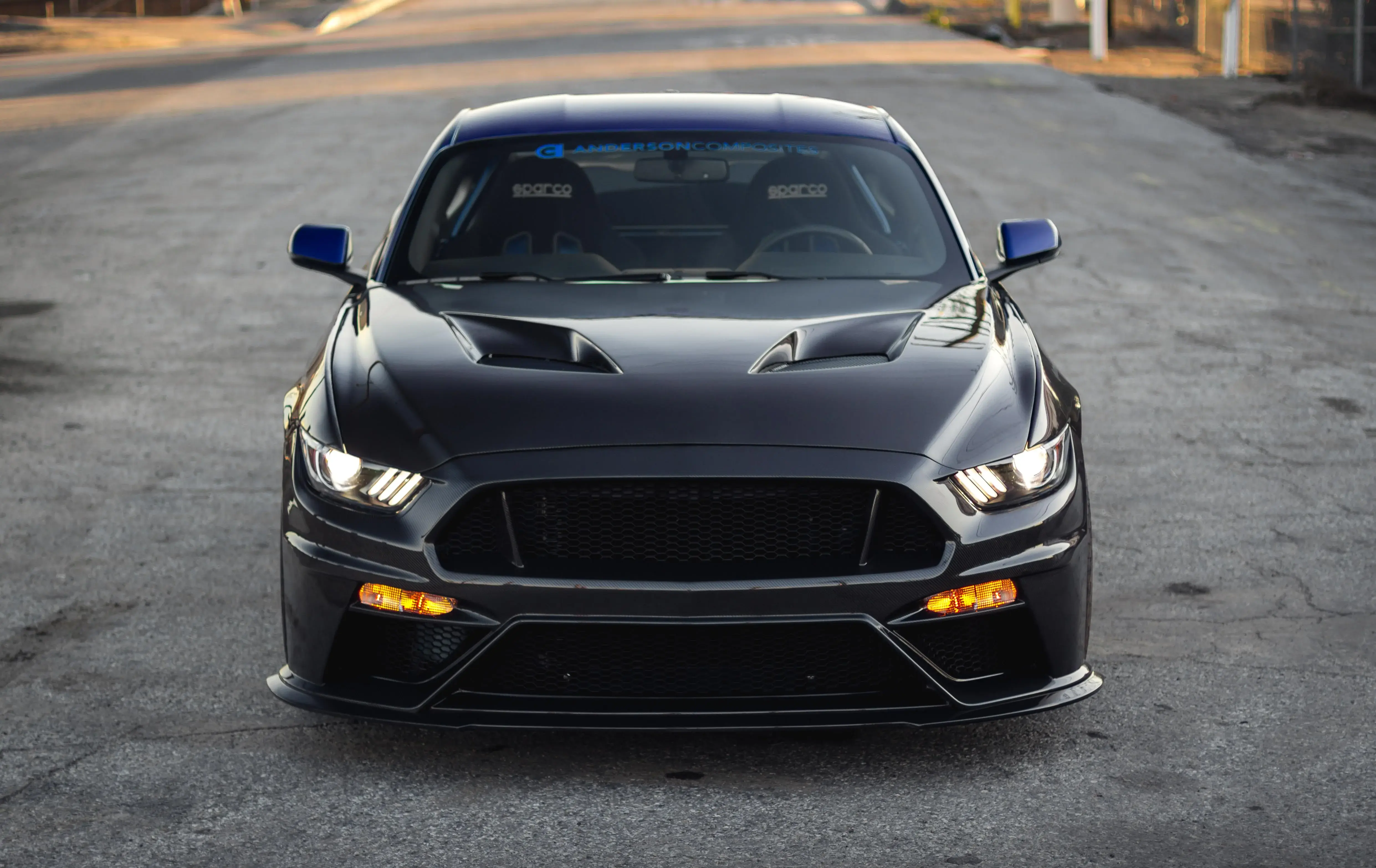 2015-2017 Ford Mustang Type-TT Double-Sided Carbon Fiber Hood by Anderson Compos - AC-HD15FDMU-TT-DS