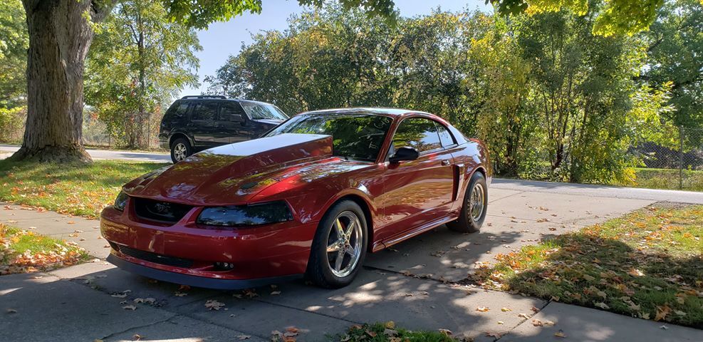 1999-2004 Ford Mustang 4 inch Cowl Fiberglass Lift-Off Hood