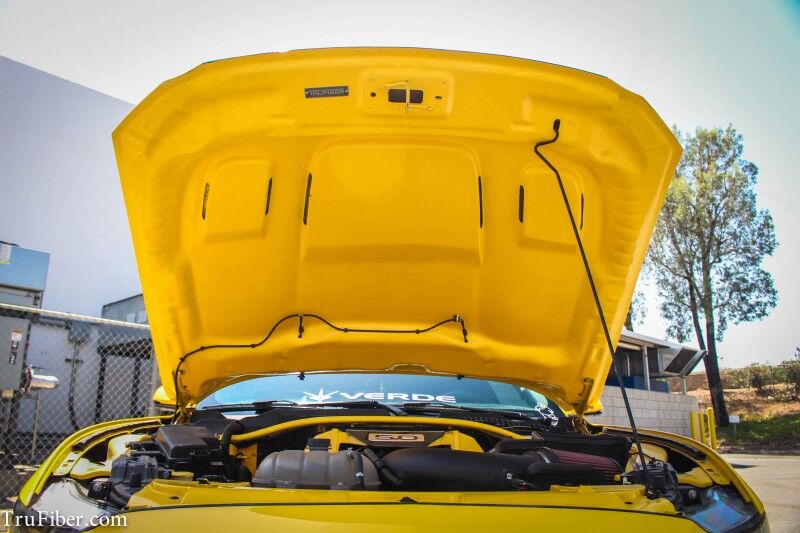 2015-2017 Ford Mustang Ecoboost/V6/GT A81 Fiberglass Heat Extractor Hood