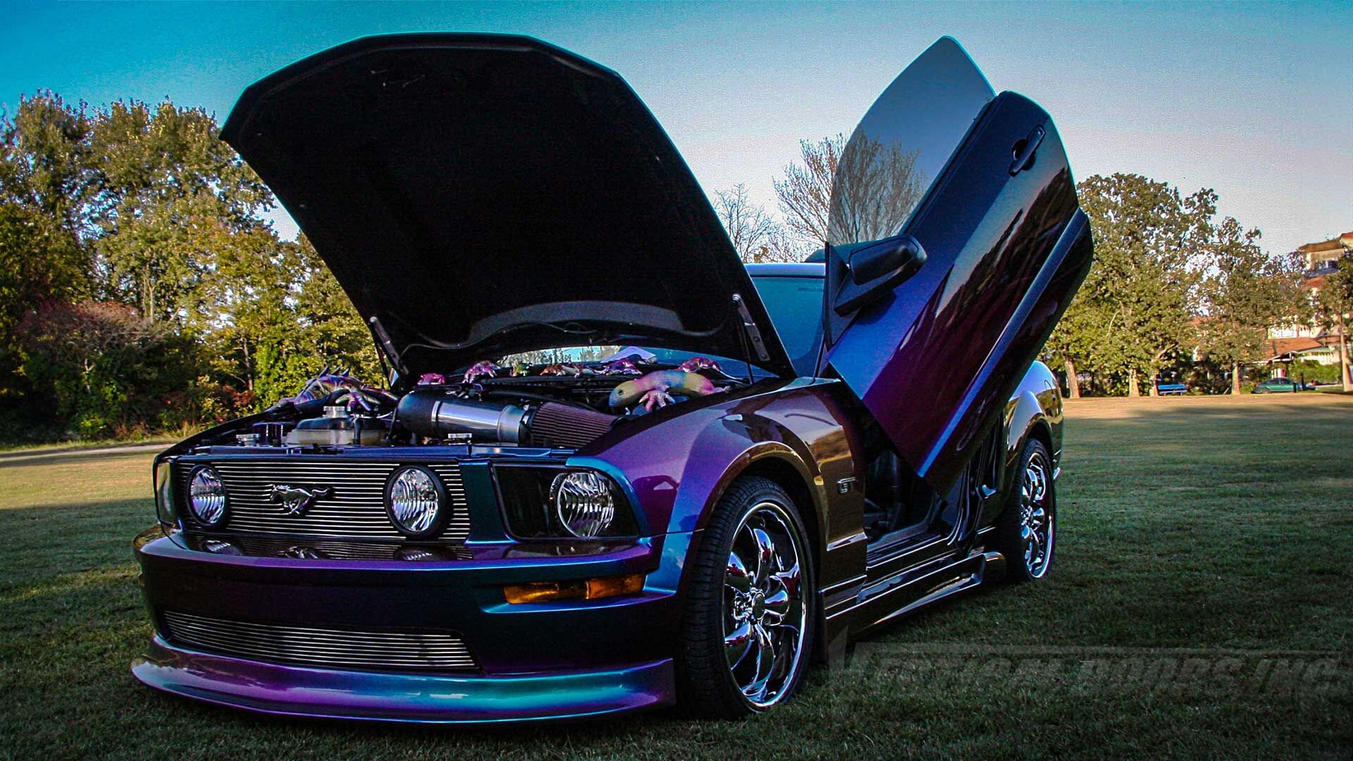 2005-2010 Ford Mustang Bolt-On Vertical Lambo Door Conversion