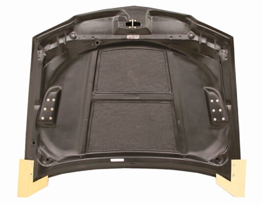 2004-2005 Acura TSX RR Carbon Fiber Hood by ViS Racing