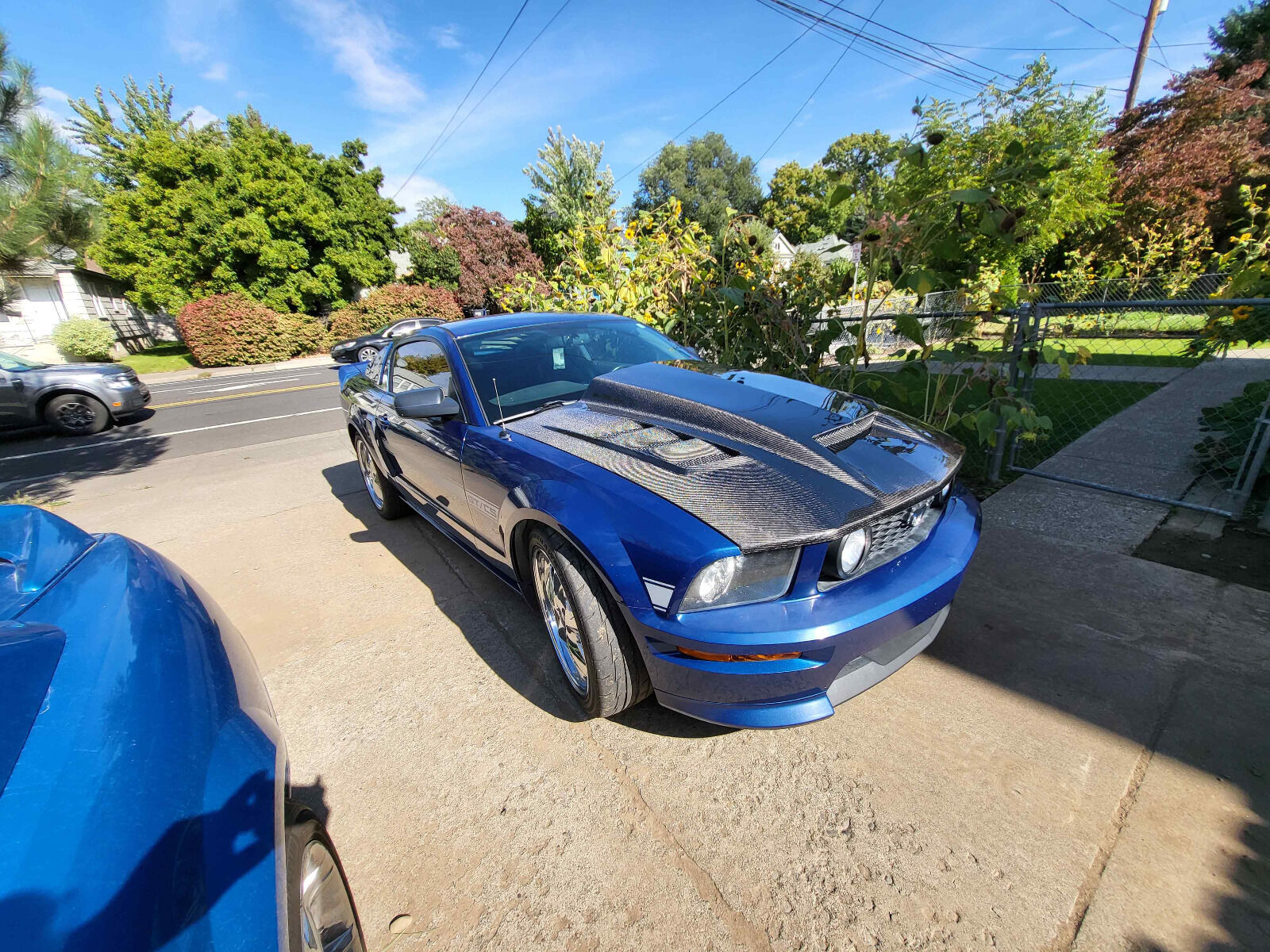 2005-2009 Ford Mustang 2DR Terminator Carbon Fiber Hood by ViS Racing