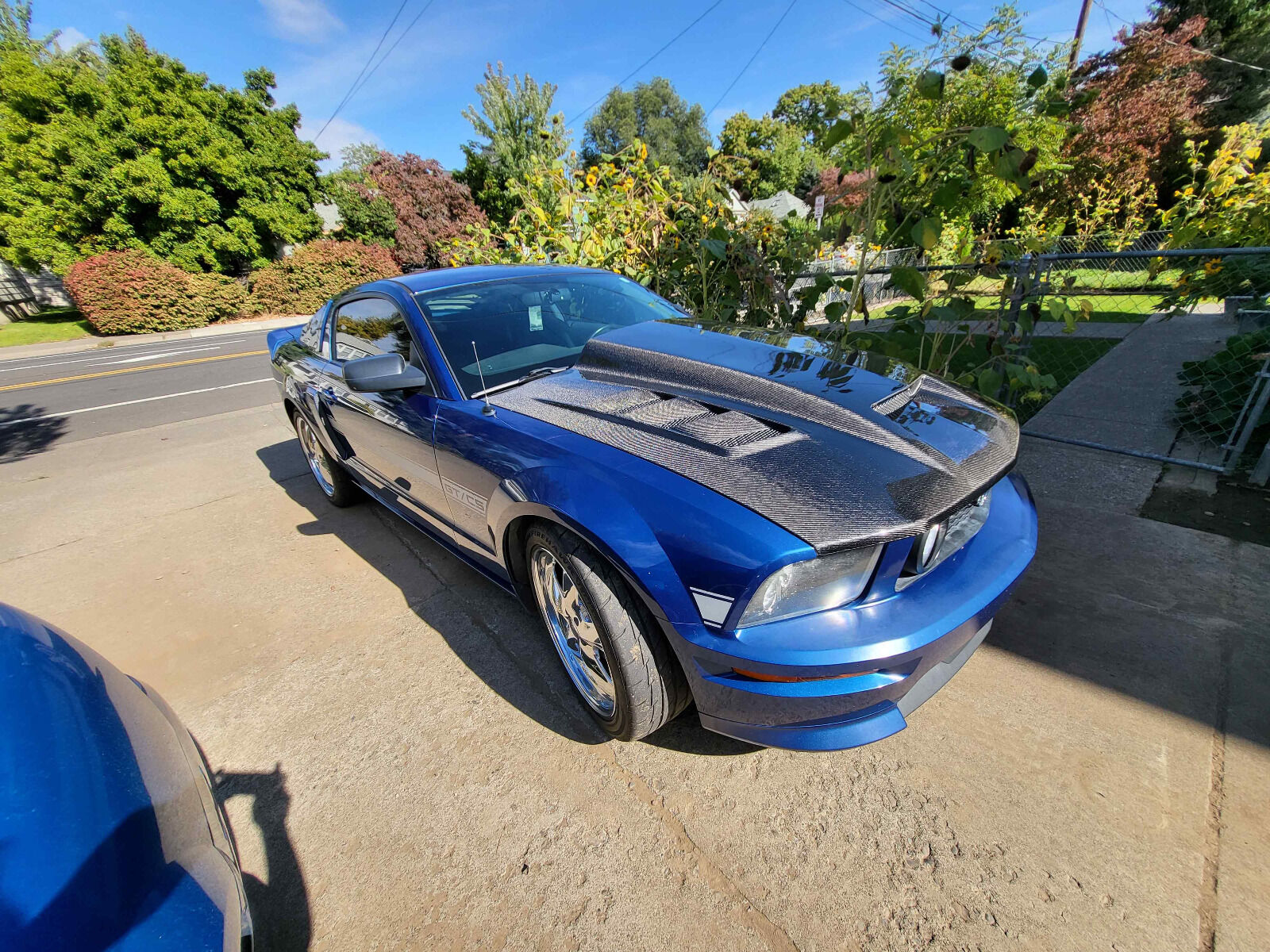 2005-2009 Ford Mustang 2DR Terminator Carbon Fiber Hood by ViS Racing