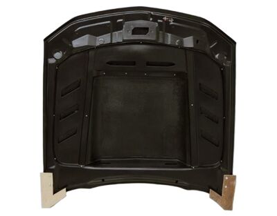 2010-2012 Ford Mustang 2DR Terminator Carbon Fiber Hood by ViS Racing