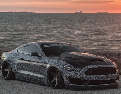 2015-2017 Ford Mustang ViS Terminator Carbon Fiber Hood