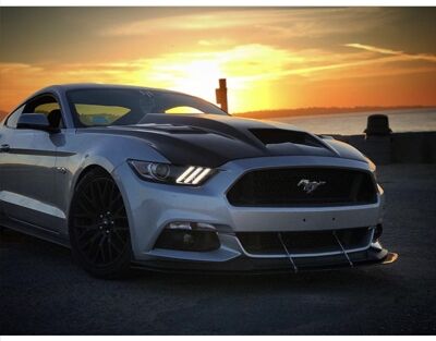 2015-2017 Ford Mustang ViS Terminator Carbon Fiber Hood