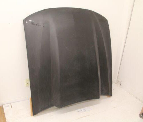 1999-2004 Ford Mustang 3" Cowl Induction Fiberglass Hood by ViS Racing