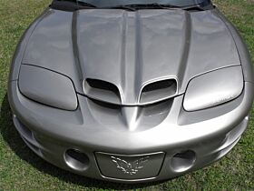 1998-2002 Pontiac Firebird/Trans AM WS6 Fiberglass Ram Air Hood - TF40021-A12