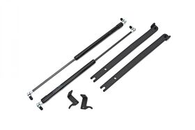 2022-2022 Toyota GR86 Hood Struts HIgh Lift by GrimmSpeed - 097035