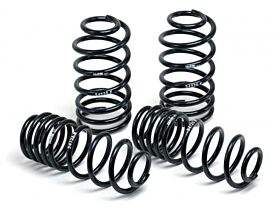 2009-2009 Lincoln MKS H&R Sport Lowering Springs - 51675