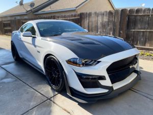2018-2023 Ford Mustang AMS Style Carbon Fiber Hood by ViS Racing - 18FDMUS2DAMS-010C