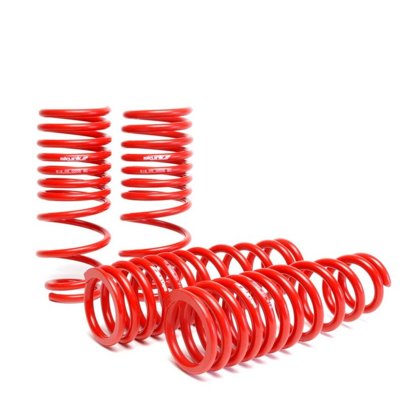 2006-2011 Honda Civic Coupe DX/EX/LX/Si Skunk2 Lowering Springs - 519-05-1580